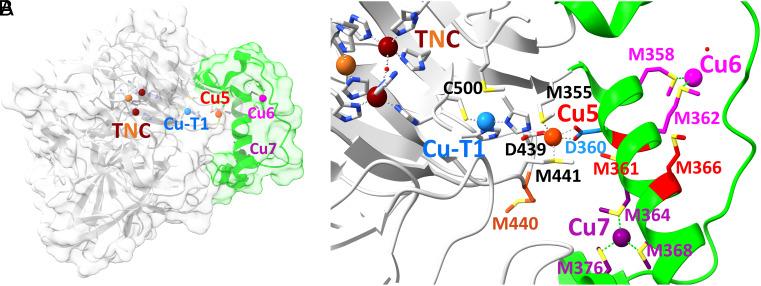 https://cdn.ncbi.nlm.nih.gov/pmc/blobs/2ab9/11494321/87064a63f8b4/pnas.2402862121fig01.jpg