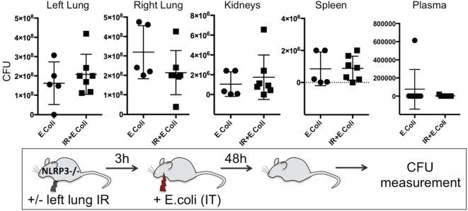 https://cdn.ncbi.nlm.nih.gov/pmc/blobs/2aba/5671513/b6eda111964e/fimmu-08-01337-g011.jpg