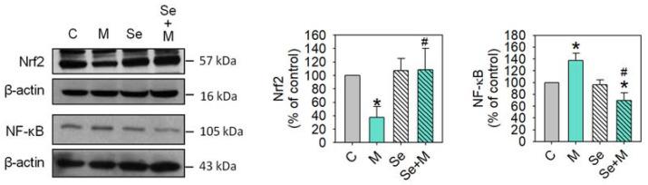https://cdn.ncbi.nlm.nih.gov/pmc/blobs/2abb/10931631/4a0639b24faf/ijms-25-02511-g007.jpg