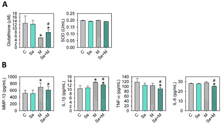https://cdn.ncbi.nlm.nih.gov/pmc/blobs/2abb/10931631/e725b50fb997/ijms-25-02511-g009.jpg