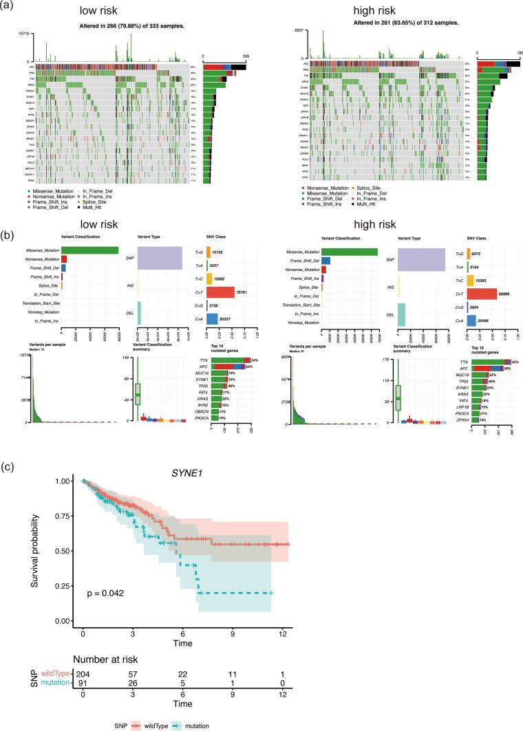 https://cdn.ncbi.nlm.nih.gov/pmc/blobs/2abb/11189376/f79ff982deb4/12672_2024_1082_Fig6_HTML.jpg