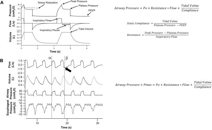 https://cdn.ncbi.nlm.nih.gov/pmc/blobs/2abb/9326096/812a0a95b774/fphys-13-817263-g002.jpg
