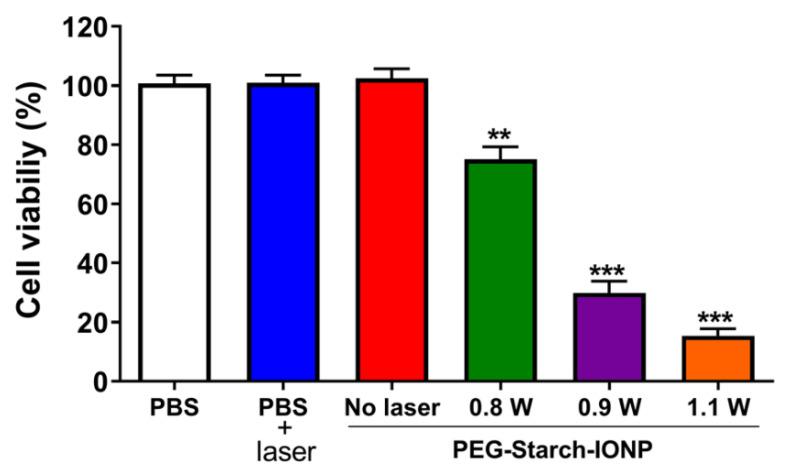 https://cdn.ncbi.nlm.nih.gov/pmc/blobs/2abc/8231641/48c4d534ff5a/pharmaceutics-13-00871-g007.jpg
