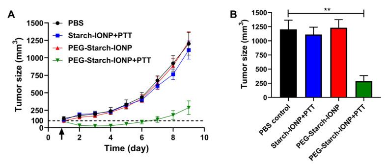https://cdn.ncbi.nlm.nih.gov/pmc/blobs/2abc/8231641/8188a818a5d5/pharmaceutics-13-00871-g010.jpg
