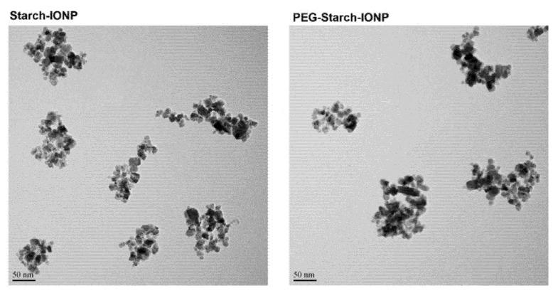 https://cdn.ncbi.nlm.nih.gov/pmc/blobs/2abc/8231641/81bd4f0362ad/pharmaceutics-13-00871-g001.jpg