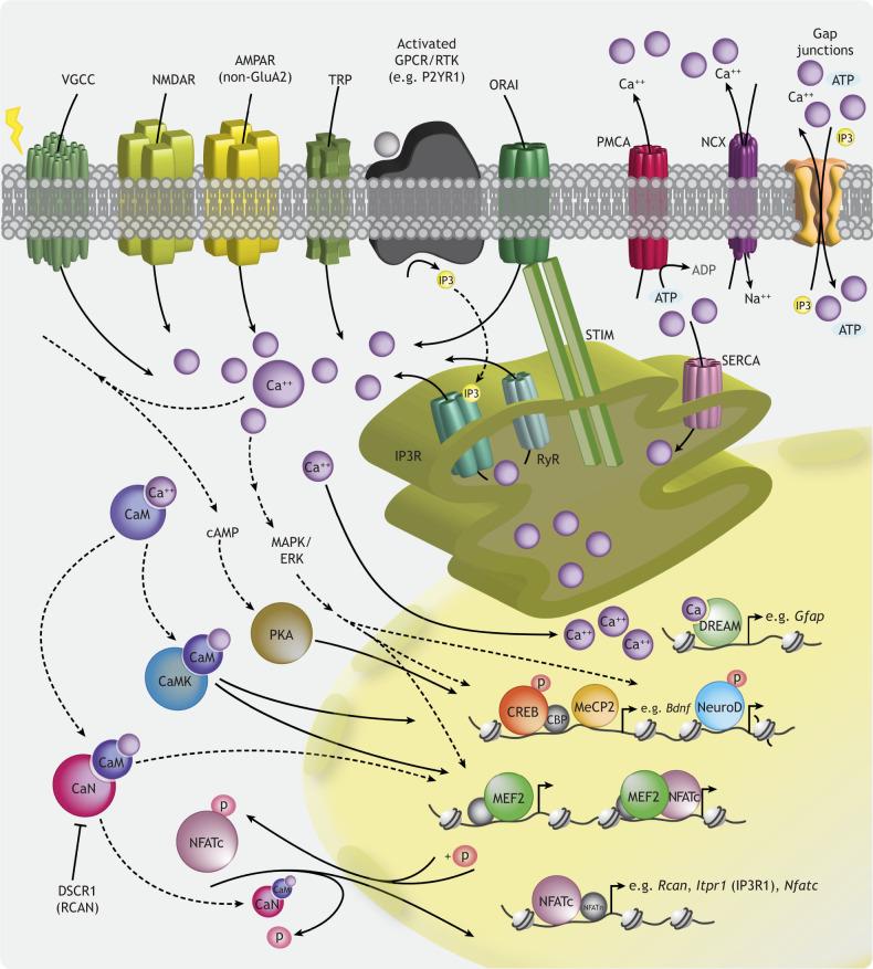 https://cdn.ncbi.nlm.nih.gov/pmc/blobs/2abd/9578689/ab6e7d22dfba/develop-149-198853-g1.jpg