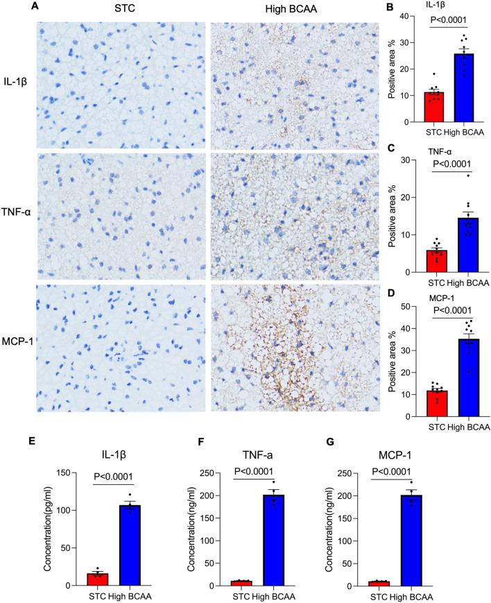https://cdn.ncbi.nlm.nih.gov/pmc/blobs/2abf/11391606/05dacc8fa990/10020_2024_894_Fig3_HTML.jpg