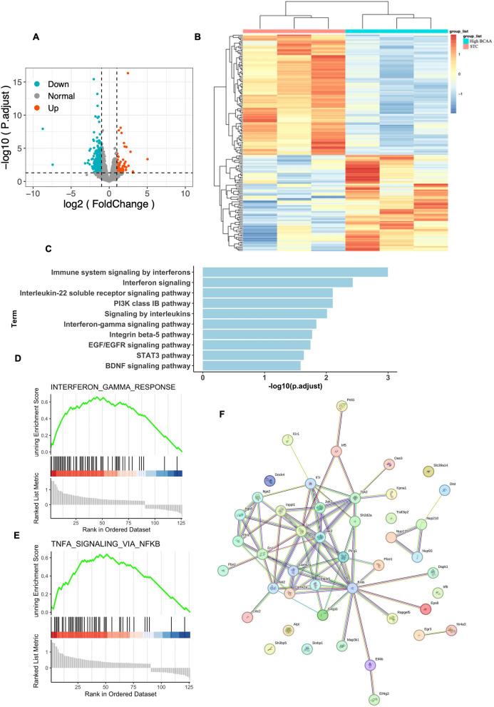 https://cdn.ncbi.nlm.nih.gov/pmc/blobs/2abf/11391606/5084b2dad525/10020_2024_894_Fig5_HTML.jpg