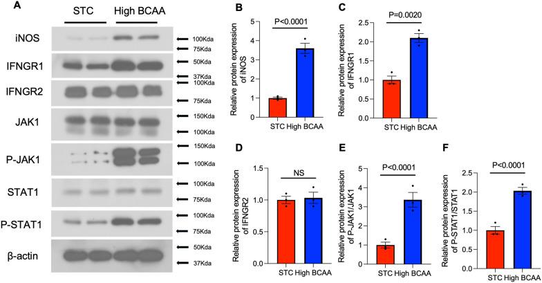 https://cdn.ncbi.nlm.nih.gov/pmc/blobs/2abf/11391606/5aee23c308c0/10020_2024_894_Fig6_HTML.jpg