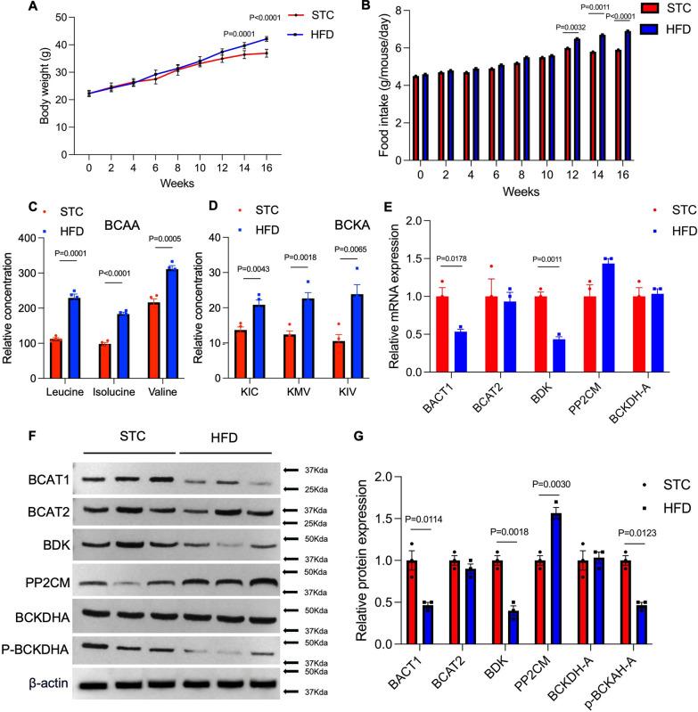 https://cdn.ncbi.nlm.nih.gov/pmc/blobs/2abf/11391606/786859204de4/10020_2024_894_Fig1_HTML.jpg