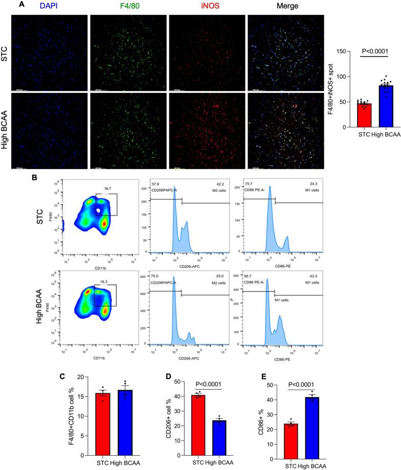 https://cdn.ncbi.nlm.nih.gov/pmc/blobs/2abf/11391606/be2e9257d8ff/10020_2024_894_Fig4_HTML.jpg