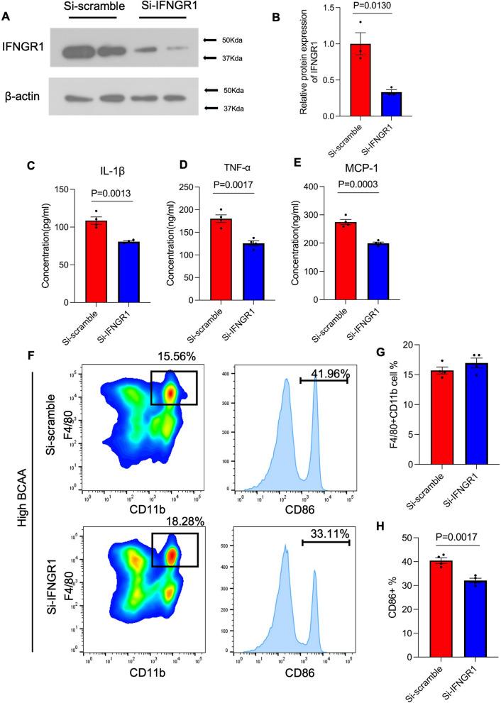 https://cdn.ncbi.nlm.nih.gov/pmc/blobs/2abf/11391606/c979b0331af7/10020_2024_894_Fig7_HTML.jpg
