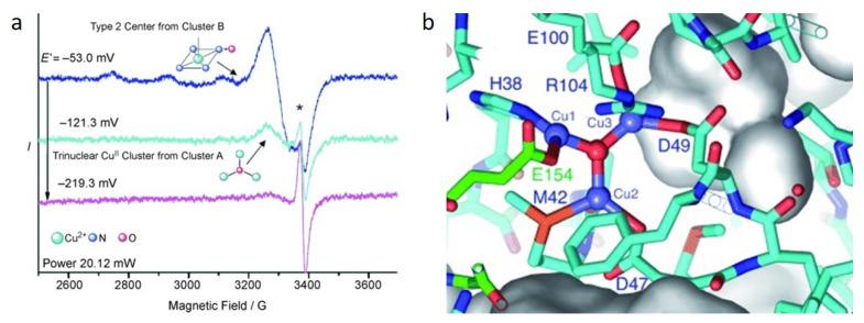 https://cdn.ncbi.nlm.nih.gov/pmc/blobs/2ac2/9656382/1c1fb6ed6e70/molecules-27-07146-g001.jpg