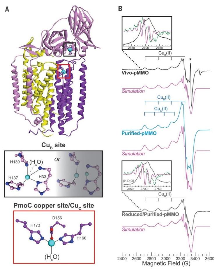 https://cdn.ncbi.nlm.nih.gov/pmc/blobs/2ac2/9656382/28b84fdfb263/molecules-27-07146-g003.jpg