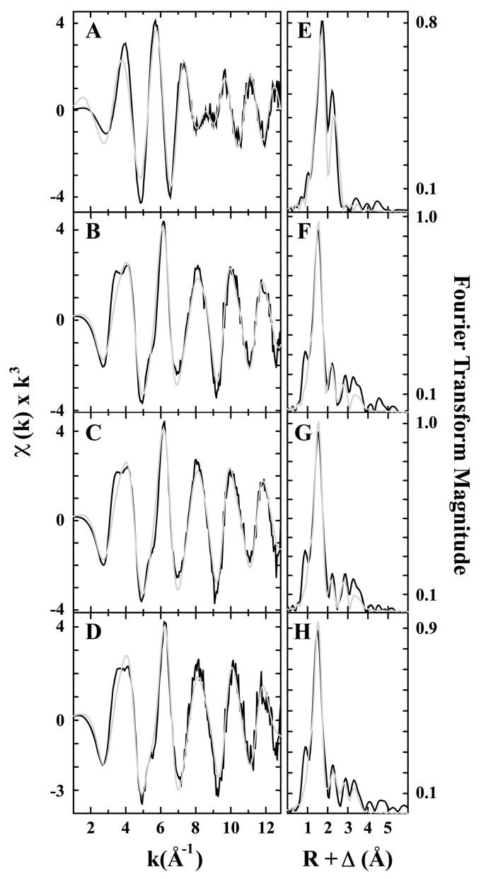 https://cdn.ncbi.nlm.nih.gov/pmc/blobs/2ac2/9656382/cfd3941cdcfe/molecules-27-07146-g002.jpg