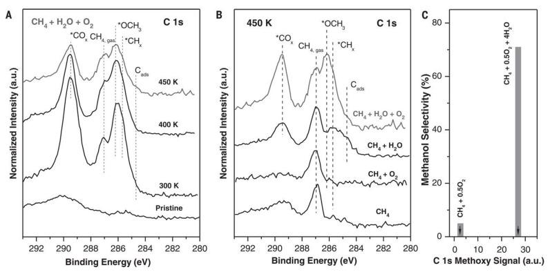 https://cdn.ncbi.nlm.nih.gov/pmc/blobs/2ac2/9656382/fc8957ebb9c9/molecules-27-07146-g011.jpg