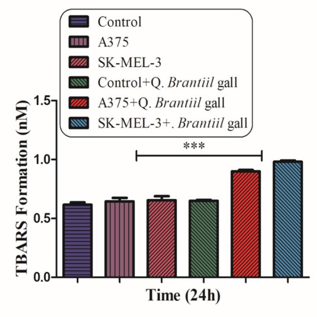 https://cdn.ncbi.nlm.nih.gov/pmc/blobs/2ac3/10676489/5c926cfad191/APJCP-24-2383-g003.jpg