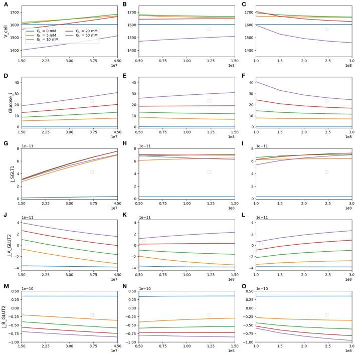 https://cdn.ncbi.nlm.nih.gov/pmc/blobs/2ac3/8688934/e23626581002/fphys-12-699152-g0006.jpg
