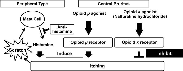 https://cdn.ncbi.nlm.nih.gov/pmc/blobs/2ac6/5467861/069970e72c3e/pone.0178991.g004.jpg