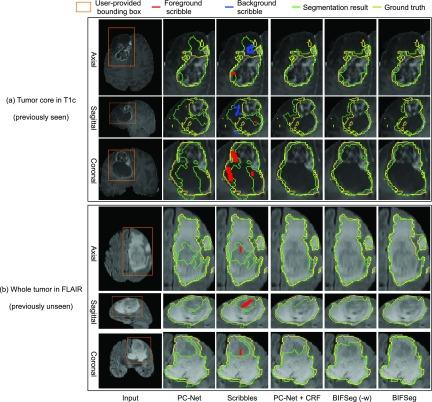 https://cdn.ncbi.nlm.nih.gov/pmc/blobs/2ac6/6051485/8745b6655965/wang12ab-2791721.jpg