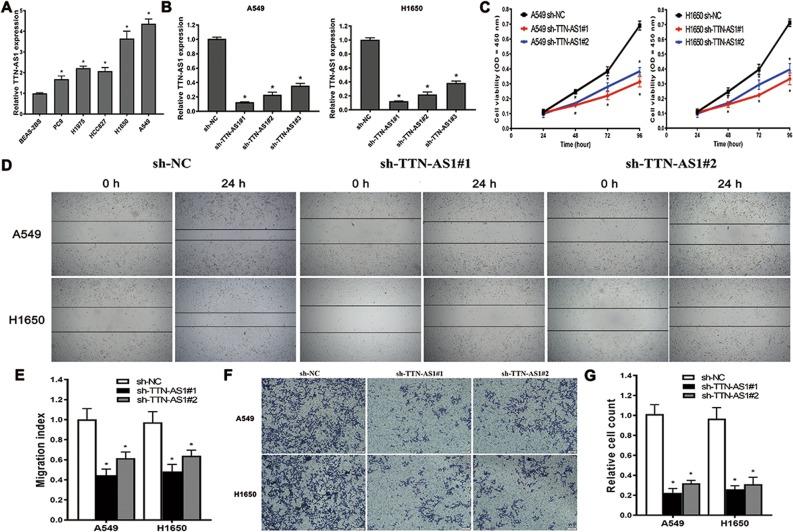 https://cdn.ncbi.nlm.nih.gov/pmc/blobs/2ac8/6667499/ab1018f2cccb/41419_2019_1811_Fig2_HTML.jpg