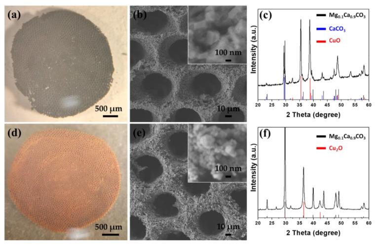 https://cdn.ncbi.nlm.nih.gov/pmc/blobs/2ac8/8512094/a08eac0f5f30/molecules-26-06067-g004.jpg