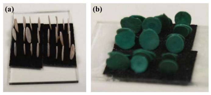 https://cdn.ncbi.nlm.nih.gov/pmc/blobs/2ac8/8512094/dd3568c1a08e/molecules-26-06067-g001.jpg