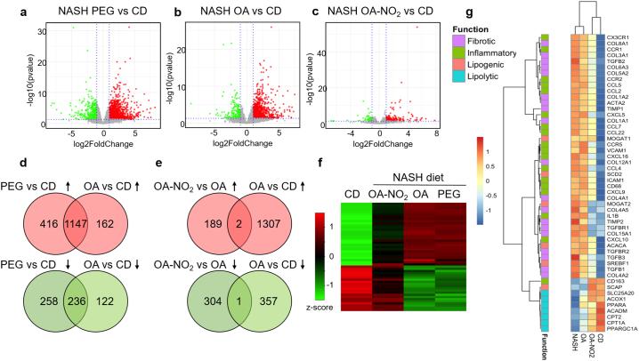 https://cdn.ncbi.nlm.nih.gov/pmc/blobs/2ac9/6444056/97368a1e511e/gr4.jpg