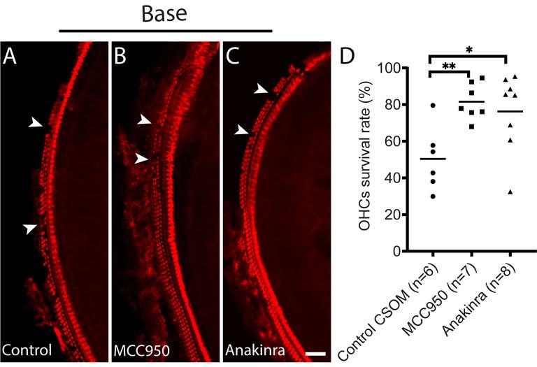 https://cdn.ncbi.nlm.nih.gov/pmc/blobs/2aca/11402200/605bba7b9de3/12974_2024_3212_Fig7_HTML.jpg