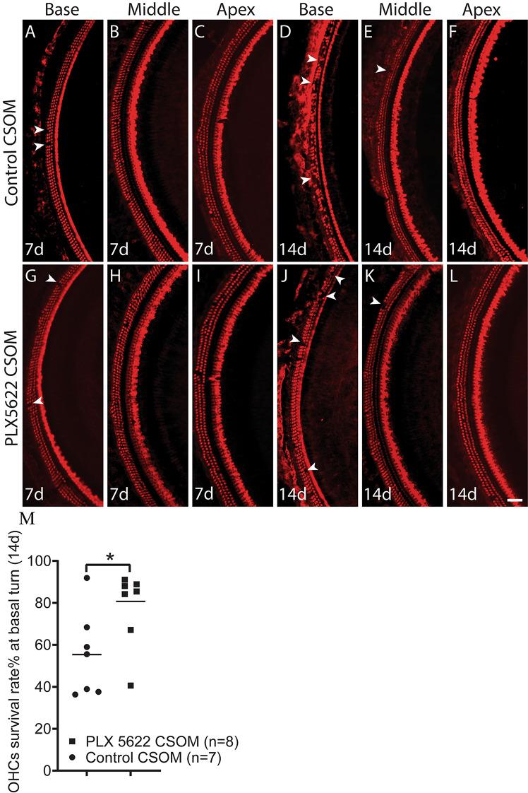 https://cdn.ncbi.nlm.nih.gov/pmc/blobs/2aca/11402200/a6d9984fcc94/12974_2024_3212_Fig2_HTML.jpg