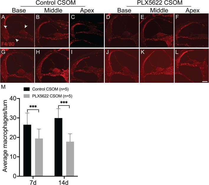 https://cdn.ncbi.nlm.nih.gov/pmc/blobs/2aca/11402200/aca3ed53f870/12974_2024_3212_Fig1_HTML.jpg