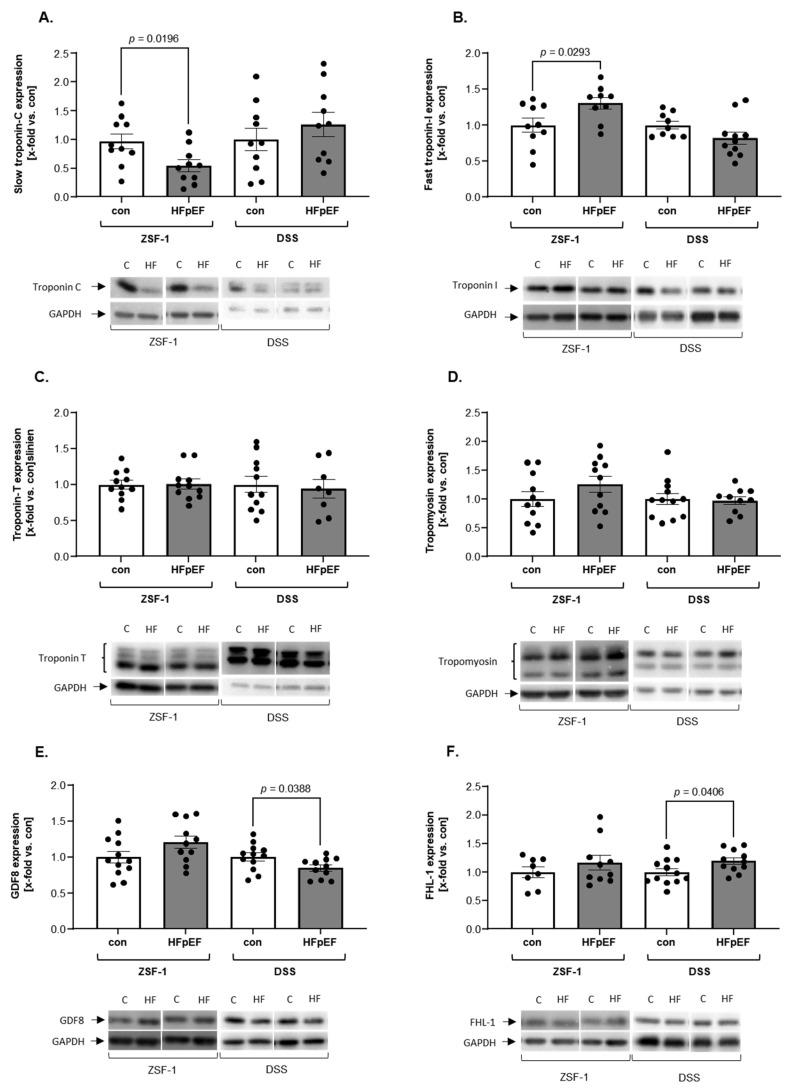 https://cdn.ncbi.nlm.nih.gov/pmc/blobs/2aca/12249543/2f90811c989c/ijms-26-06196-g002.jpg