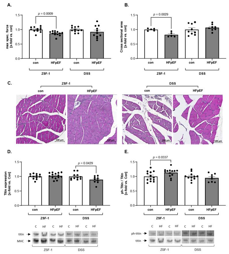 https://cdn.ncbi.nlm.nih.gov/pmc/blobs/2aca/12249543/871ad9db1760/ijms-26-06196-g001.jpg