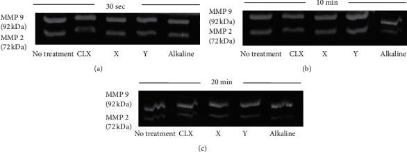 https://cdn.ncbi.nlm.nih.gov/pmc/blobs/2aca/7904348/9e873093d217/APS2021-8840570.002.jpg