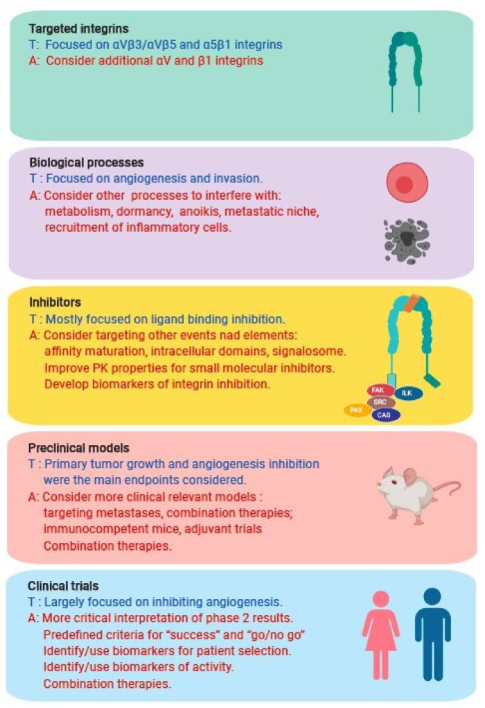 https://cdn.ncbi.nlm.nih.gov/pmc/blobs/2acc/6678560/8daf03698eca/cancers-11-00978-g002.jpg