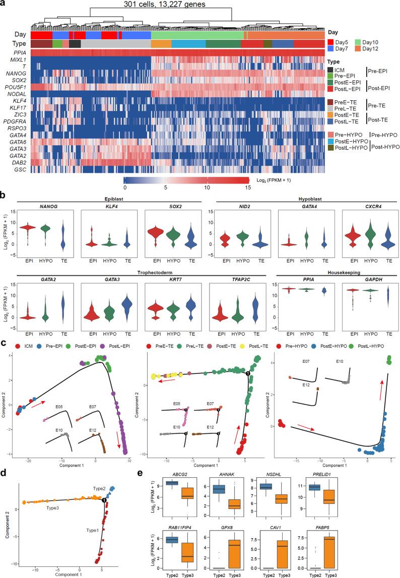 https://cdn.ncbi.nlm.nih.gov/pmc/blobs/2acc/7854681/6a0b0bc079fd/41421_2020_238_Fig2_HTML.jpg