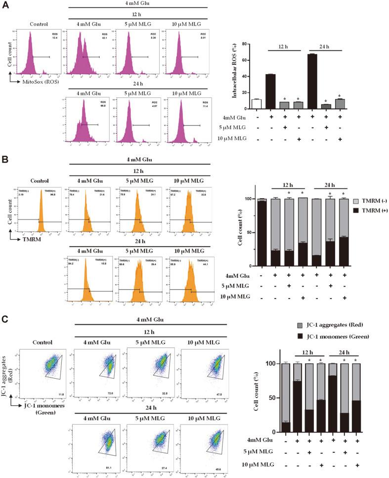 https://cdn.ncbi.nlm.nih.gov/pmc/blobs/2ace/9705990/124679ae935d/jmb-31-2-217-f4.jpg