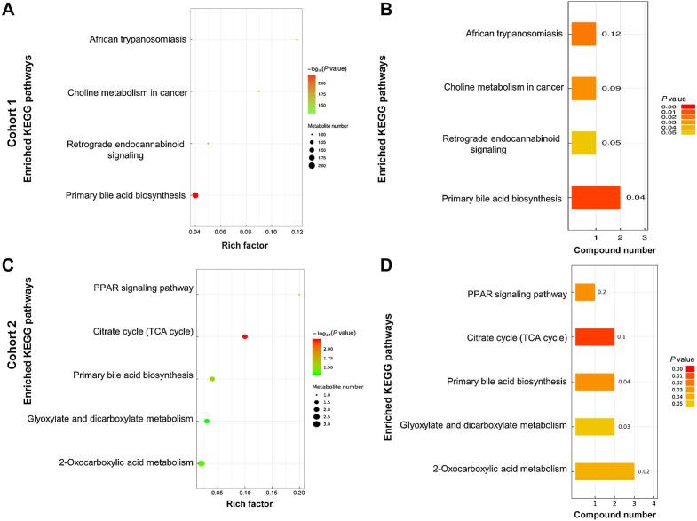 https://cdn.ncbi.nlm.nih.gov/pmc/blobs/2acf/11063768/6177cf8f63d5/733fig4.jpg