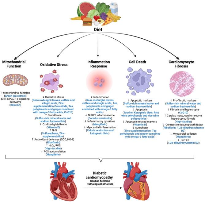 https://cdn.ncbi.nlm.nih.gov/pmc/blobs/2acf/11983742/6af81829c4dc/12933_2025_2702_Fig2_HTML.jpg