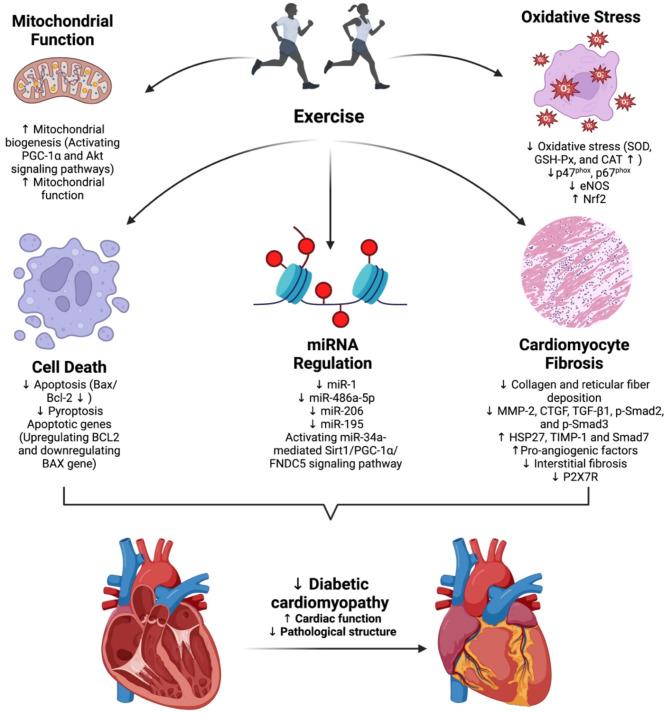 https://cdn.ncbi.nlm.nih.gov/pmc/blobs/2acf/11983742/fee3e4f05618/12933_2025_2702_Fig1_HTML.jpg
