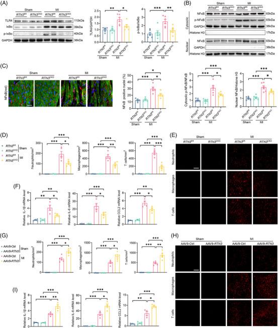 https://cdn.ncbi.nlm.nih.gov/pmc/blobs/2ad2/10901281/e4e5ea7c6266/MCO2-5-e503-g006.jpg