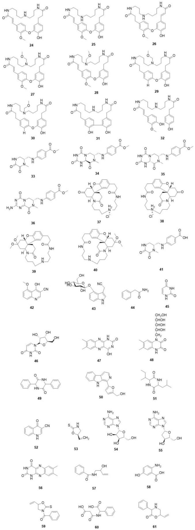 https://cdn.ncbi.nlm.nih.gov/pmc/blobs/2ad2/10974036/0622df784f48/molecules-29-01314-g003.jpg