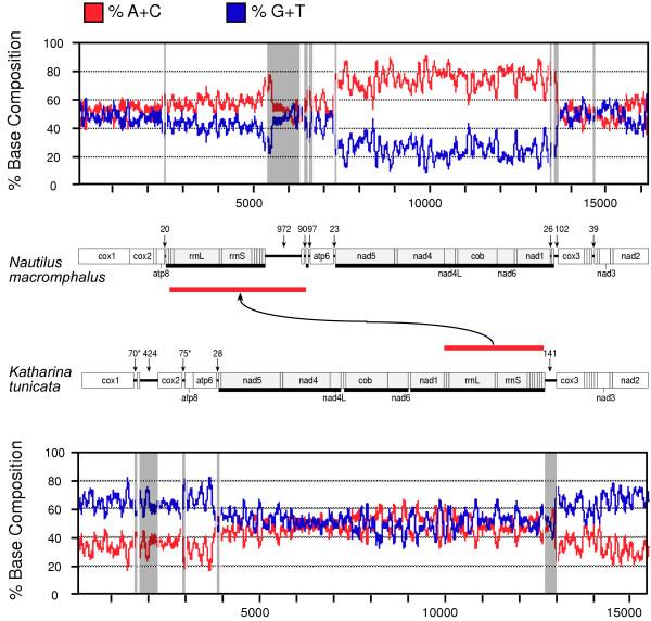 https://cdn.ncbi.nlm.nih.gov/pmc/blobs/2ad2/1544340/4a4a1c12efe7/1471-2164-7-182-4.jpg