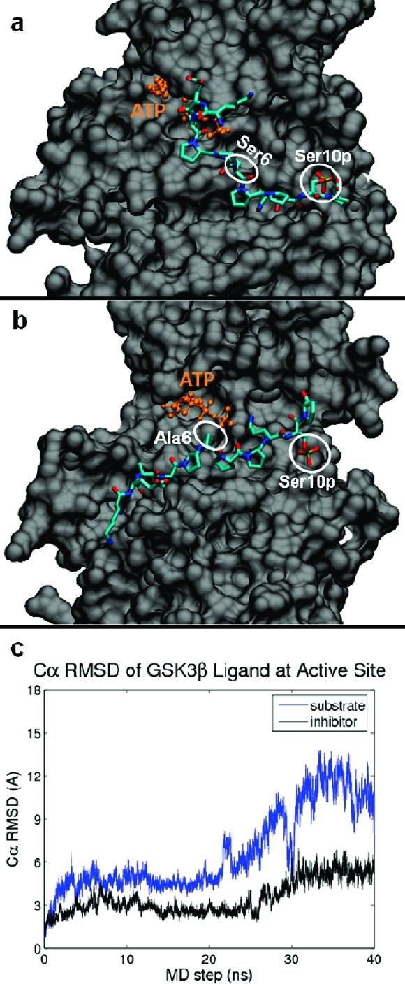 https://cdn.ncbi.nlm.nih.gov/pmc/blobs/2ad2/3005830/a330055e4bd8/bi-2010-00822q_0004.jpg