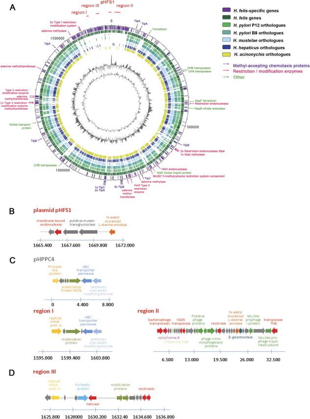 https://cdn.ncbi.nlm.nih.gov/pmc/blobs/2ad7/4197744/a82f22e3d8de/gbeevr022f02_3c.jpg