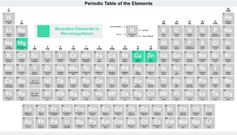 https://cdn.ncbi.nlm.nih.gov/pmc/blobs/2ad8/10817798/b8bd38a81ce8/bt-04-04-248-g004.jpg