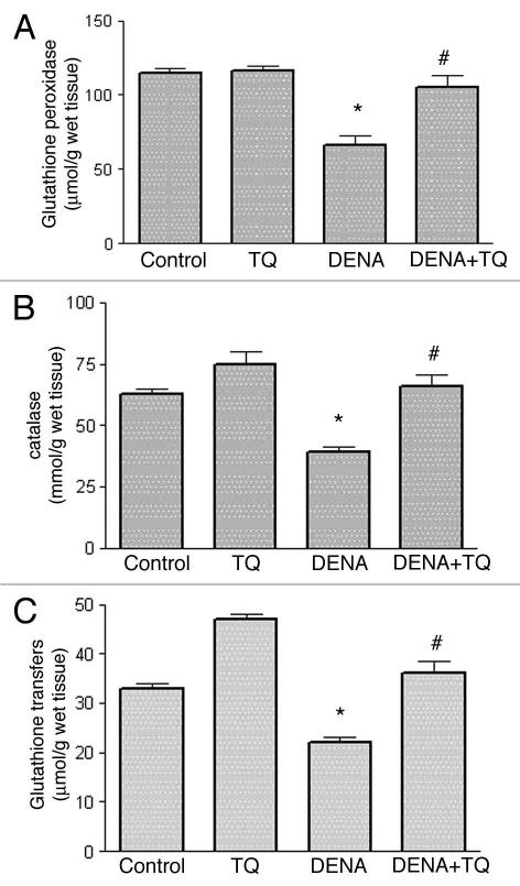 https://cdn.ncbi.nlm.nih.gov/pmc/blobs/2ad9/2952085/3705eb05310d/oxim0304_0254_fig003.jpg