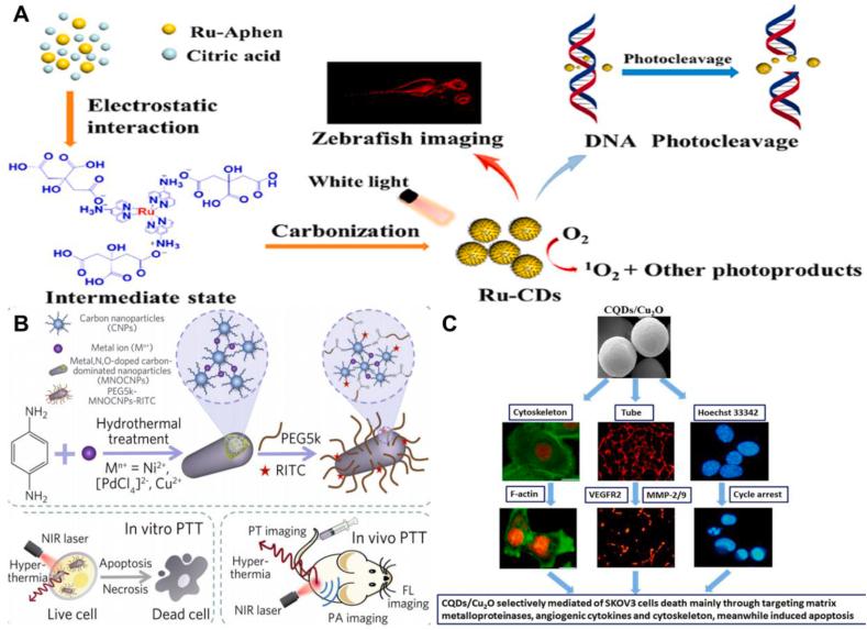 https://cdn.ncbi.nlm.nih.gov/pmc/blobs/2adb/11168406/335211f66435/gr4.jpg