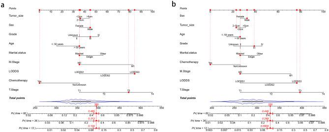 https://cdn.ncbi.nlm.nih.gov/pmc/blobs/2adc/11347484/0efec071c300/12029_2024_1046_Fig2_HTML.jpg