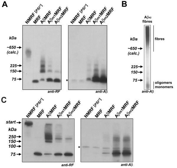 https://cdn.ncbi.nlm.nih.gov/pmc/blobs/2adf/1594584/4544225971ff/1741-7007-4-32-2.jpg